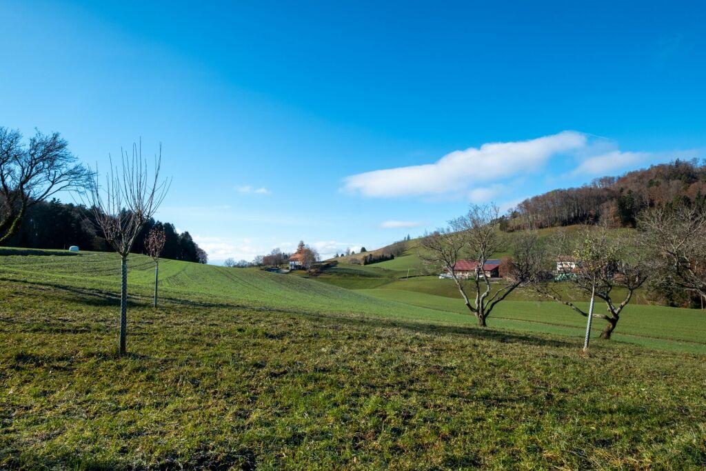 A vendre   Suisse - partenariat avec Smart-Propylaia Portail Immobilier