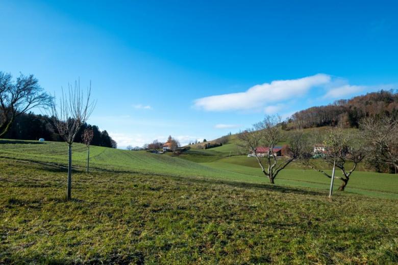 Maison à vendre à Forel - Smart Propylaia (13)