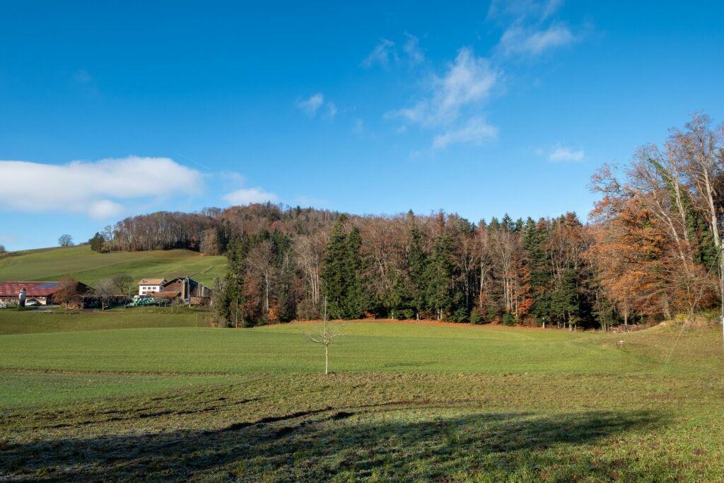 A vendre   Suisse - partenariat avec Smart-Propylaia Portail Immobilier