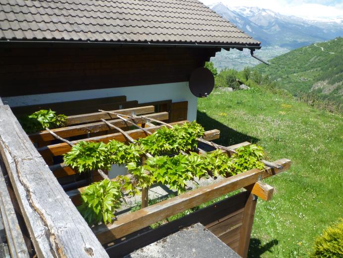 Maison à vendre à Haute-Nendaz - Smart Propylaia (10)