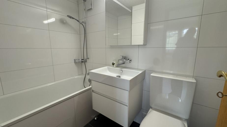 Apartment for rent in Speicherschwendi - Apartment for rent in Speicherschwendi, 1.5 rooms - Smart Propylaia (12)