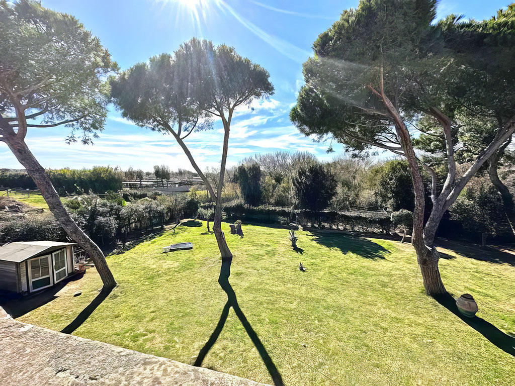 Maison à vendre à Vada - ITALIA - TOSCANA - VADA - VILLA - 7.5 PIECES - Smart Propylaia (3)