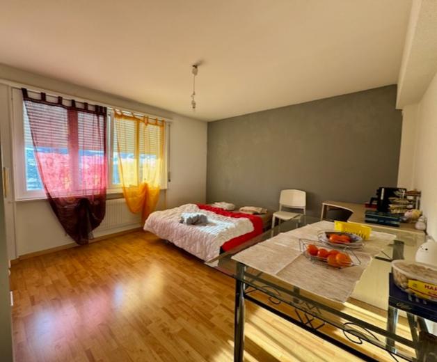 Apartment for sale in Le Locle - Apartment for sale in Le Locle, 7.5 rooms, 163 m2 - Smart Propylaia (12)