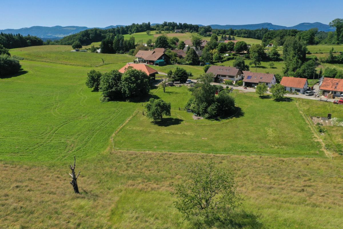 For sale   Switzerland - in partnership with the real estate portal Smart-Propylaia