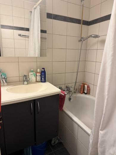 Appartamento in affitto a Niederuzwil - Appartamento in affitto a Niederuzwil, 4 locali, 80 m2 - Smart Propylaia (15)