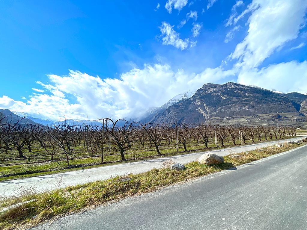 For sale   Switzerland - in partnership with the real estate portal Smart-Propylaia