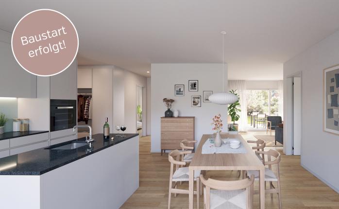 Appartement à vendre à Birr (15)