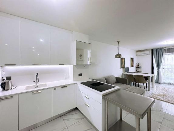Appartement à vendre à Lugano (4)