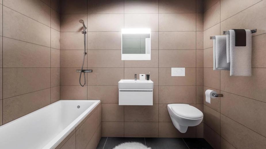 Appartement à louer à Grand-Lancy - 3 Pièces entièrement rénové au Grand-lancy - Smart Propylaia (3)