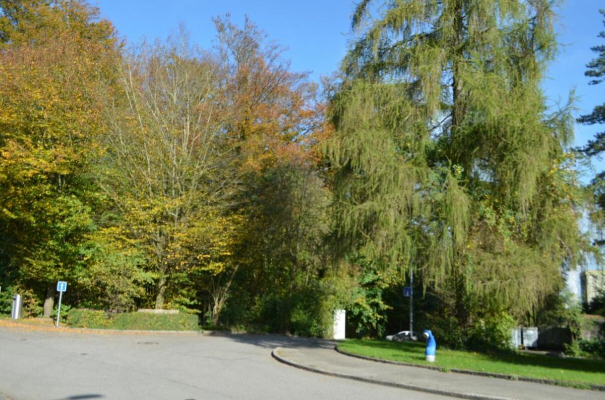 For sale   Switzerland - cChic-immoHub your real estate portal