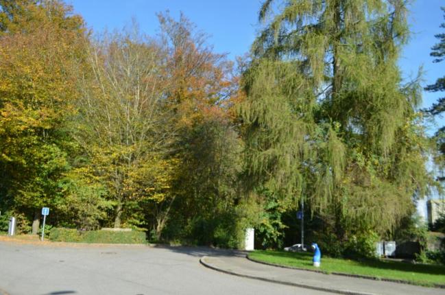Wohnung zu verkaufen in Olten (12)