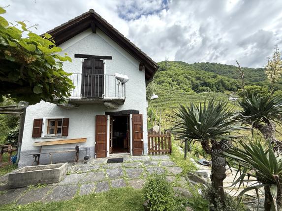 Maison à vendre à Gordola (2)