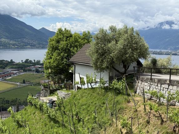 Maison à vendre à Gordola (5)