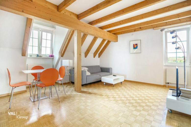 Appartement à vendre à Langwiesen - Smart Propylaia (2)