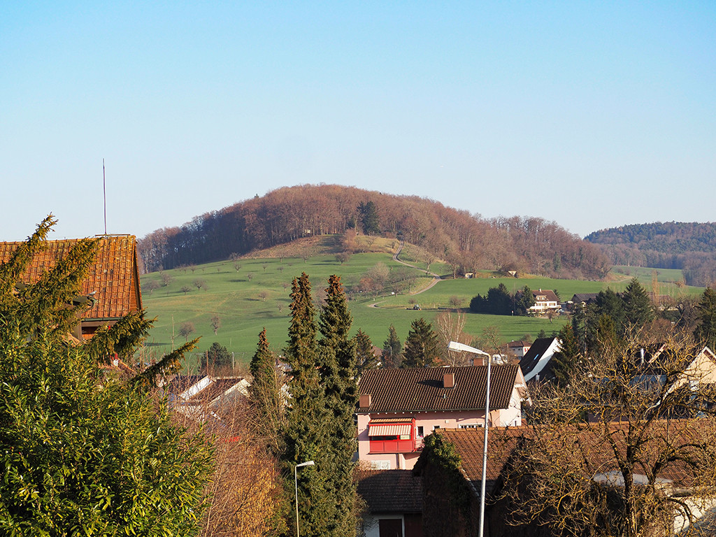 Zu verkaufen   Schweiz - Partnerschaft mit Smart-Propylaia Ihr Immobilienportal