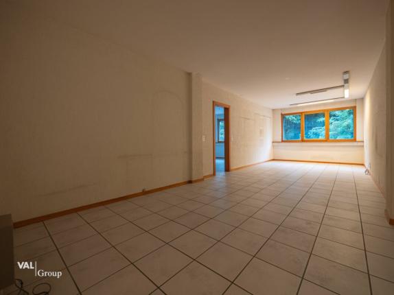 Commerce/industrie à vendre à Sierre (11)