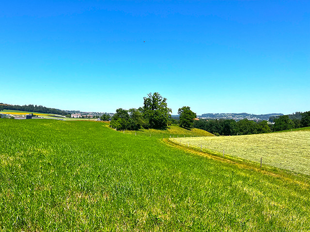 A vendre   Suisse - partenariat avec Smart-Propylaia Portail Immobilier