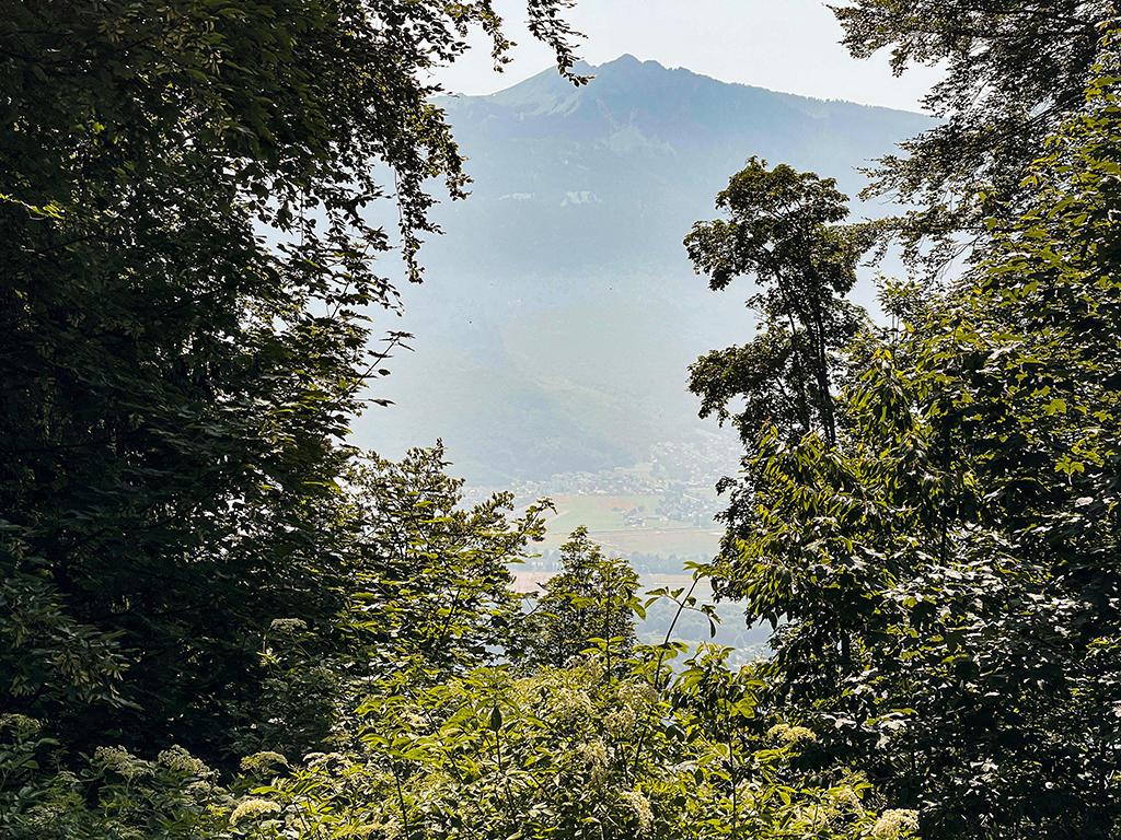 In vendita   Svizzera - 
cChic-immoHub Il vostro portale immobiliare