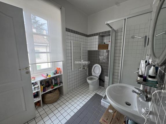 Wohnung zu vermieten in Carouge GE (5)