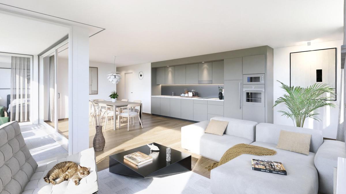 In vendita   Svizzera - 
cChic-immoHub Il vostro portale immobiliare