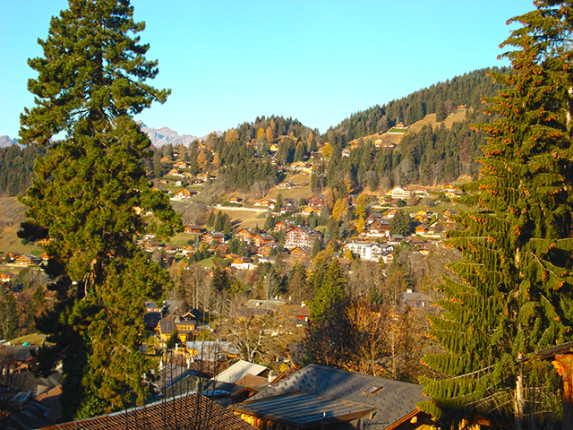 Maison à vendre à Villars-sur-Ollon (2)