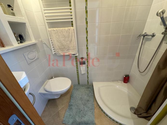 Maison à louer à Satigny - Smart Propylaia (13)