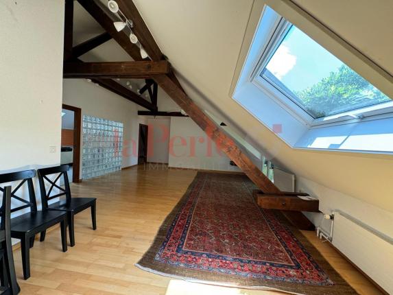 Appartement à louer à Bellevue (2)