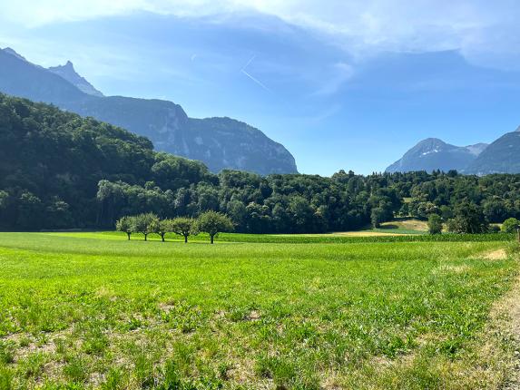 Apartment for sale in Bex (2)