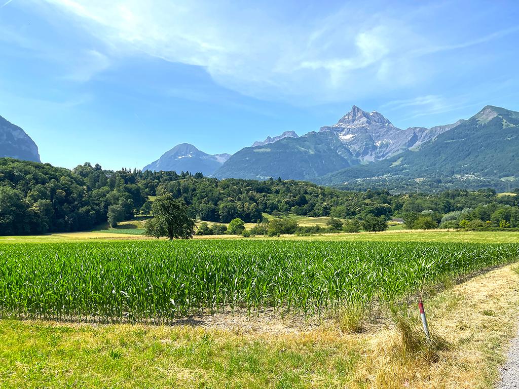 For sale   Switzerland - cChic-immoHub your real estate portal