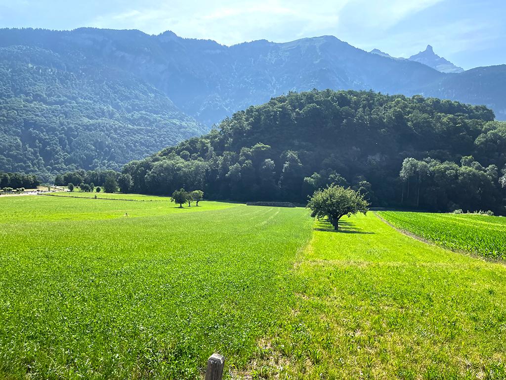For sale   Switzerland - cChic-immoHub your real estate portal