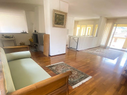 GIUBIASCO - MAGNIFICO ATTICO - 6.0 LOCALI
