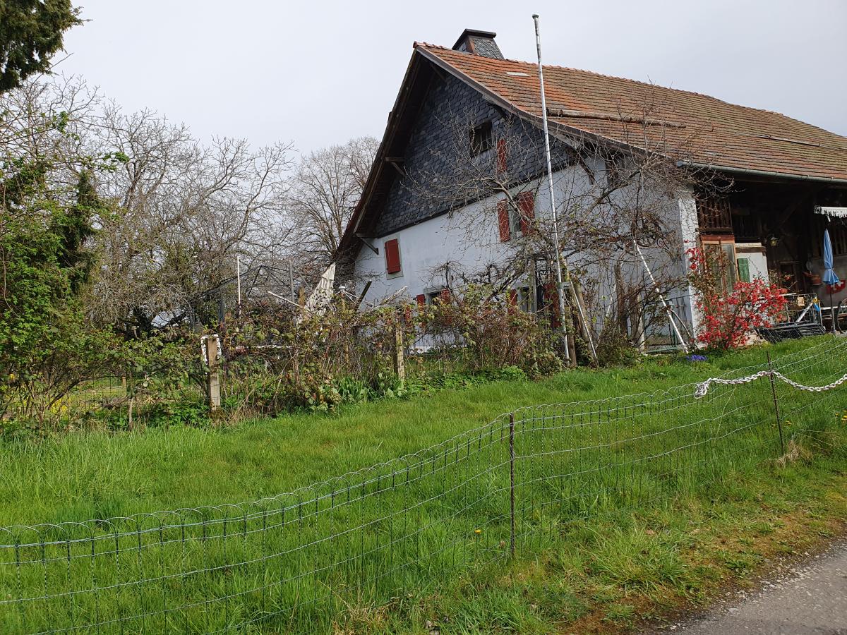 Zu verkaufen   Schweiz - cChic-immoHub Ihr Immobilienportal