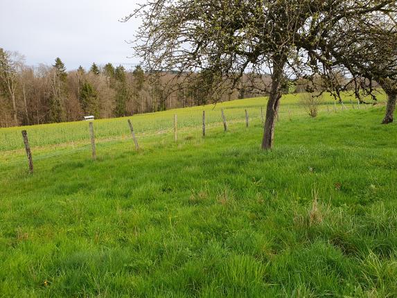 Anwesen zu verkaufen in Oron-le-Châtel (3)
