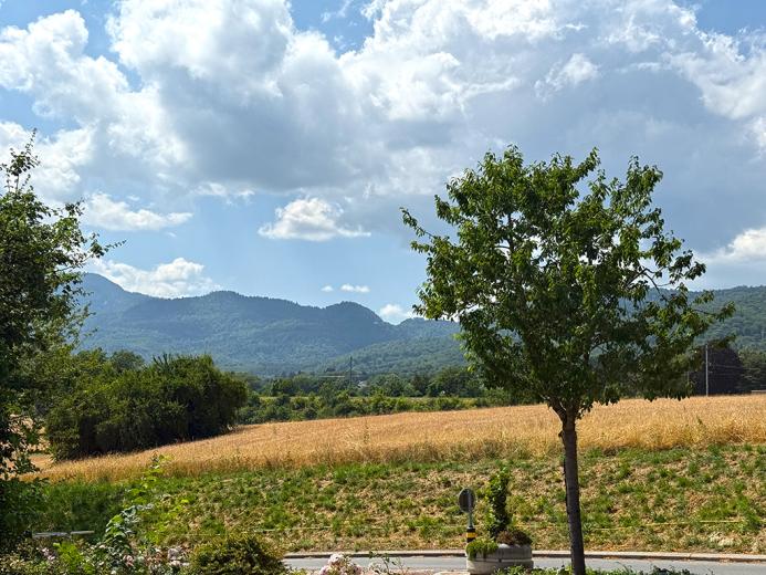 For sale Villa Givrins Switzerland - cChic-immoHub your real estate portal