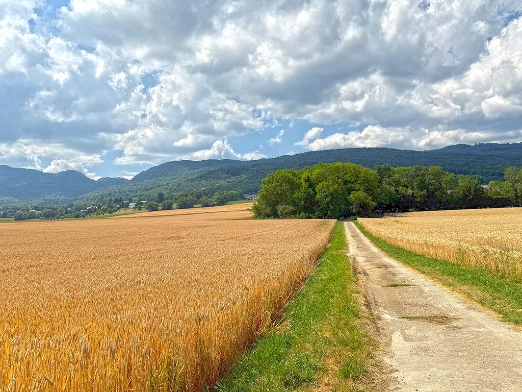 For sale   Switzerland - cChic-immoHub your real estate portal