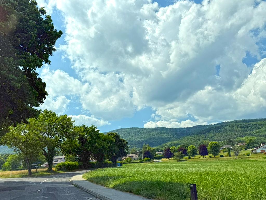 For sale   Switzerland - cChic-immoHub your real estate portal