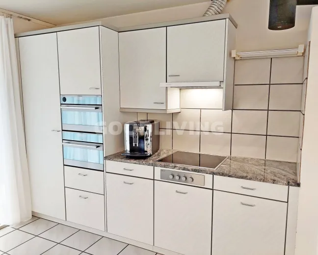 Haus zu verkaufen in Teufenthal AG - Smart Propylaia (7)