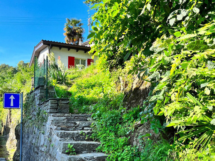 Maison à vendre à Losone - Smart Propylaia