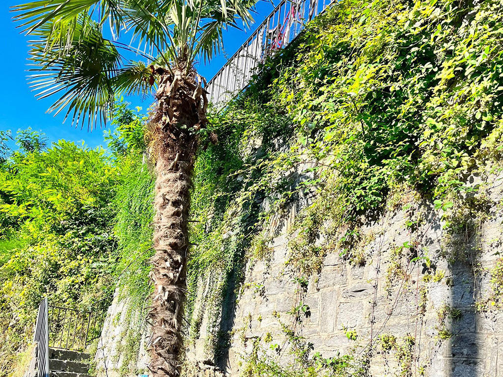 A vendre   Suisse - partenariat avec Smart-Propylaia Portail Immobilier