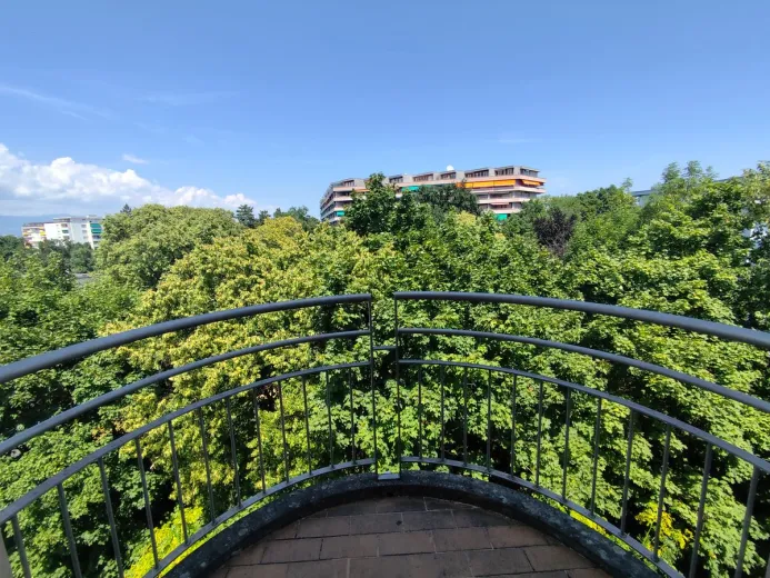 Zu verkaufen Dachwohnung Genève Schweiz - Schweiz - cChic-immoHub Ihr Immobilienportal