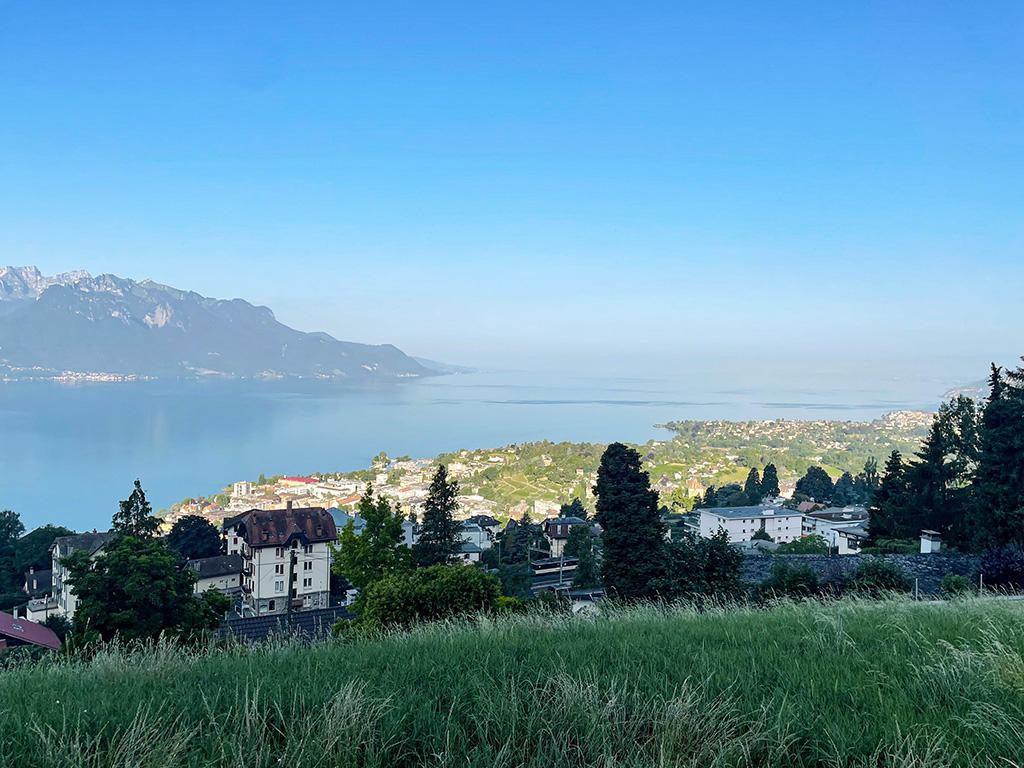 A vendre   Suisse - partenariat avec Smart-Propylaia Portail Immobilier