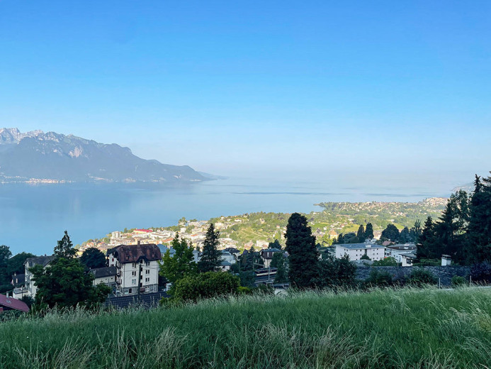 Haus zu verkaufen in Chernex - CHERNEX - WUNDERSCHÖNES HAUS MIT PANORAMABLICK - 8.0 ZIMMER - Smart Propylaia (3)