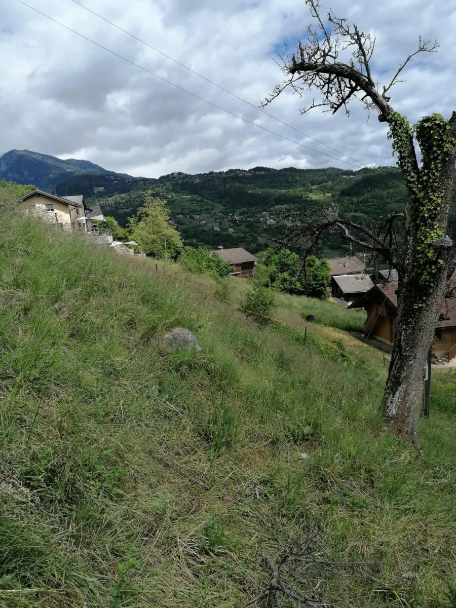 A vendre   Suisse - cChic-immoHub votre portail immobilier