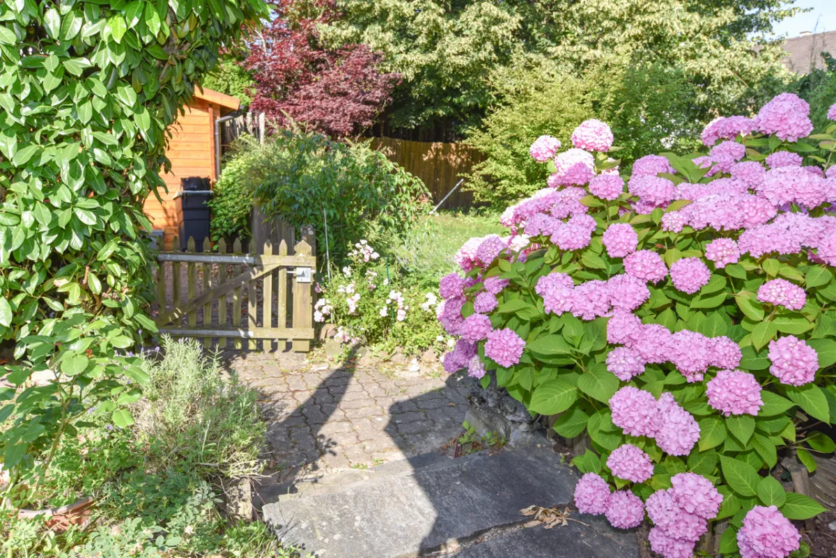 A vendre   Suisse - cChic-immoHub votre portail immobilier