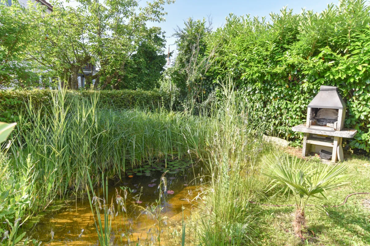 A vendre   Suisse - cChic-immoHub votre portail immobilier