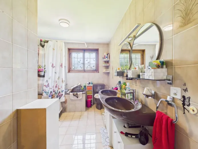 Maison à vendre à Collombey - Smart Propylaia (10)