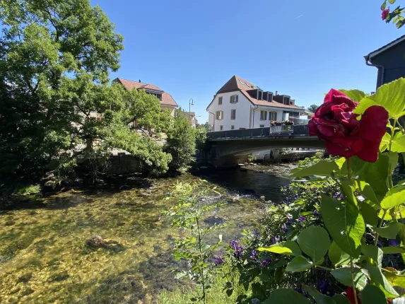 Haus zu verkaufen in Areuse (3)