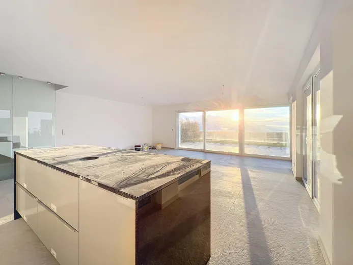 Haus zu verkaufen in Blonay - Smart Propylaia (8)