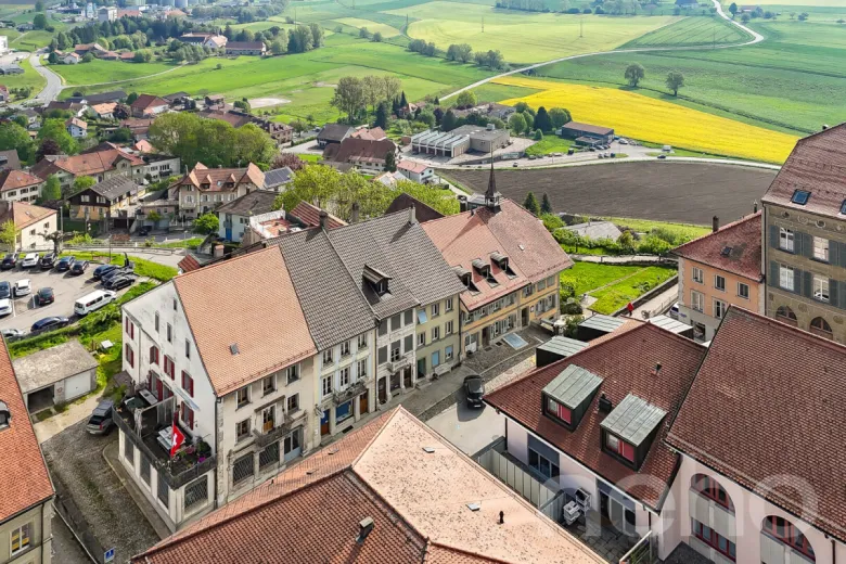 Casa in vendita a Berlens - Smart Propylaia (2)