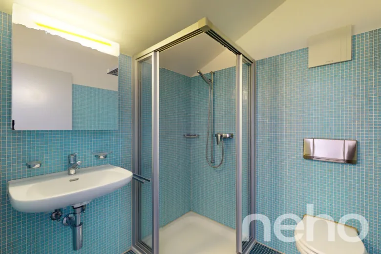 Wohnung zu verkaufen in Schlierbach - Dachwohnung zu verkaufen in Schlierbach, 5.5 Zimmer, 155 m2 - Smart Propylaia (12)